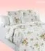 Постельное белье COTTON DREAMS Валенсия (Valensia) - Emerson (Эмерсон)